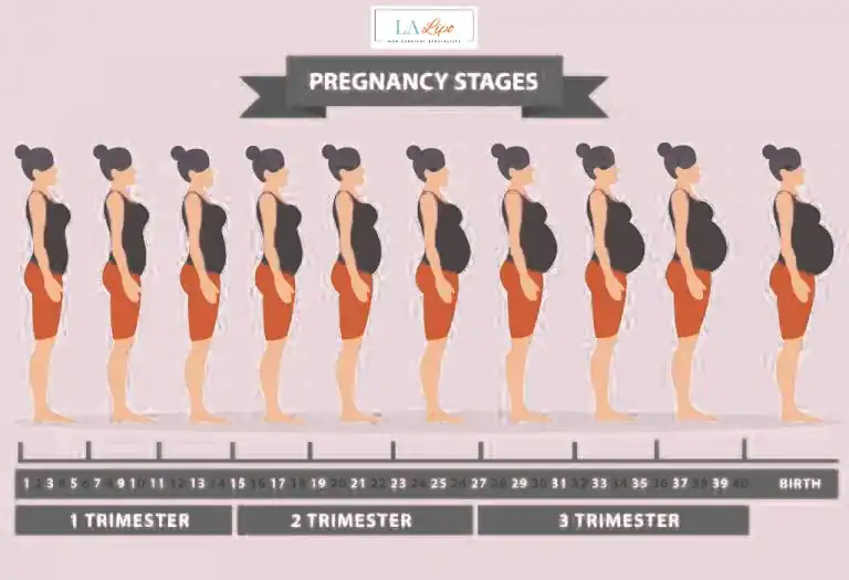 First Trimester (Weeks 1–12): Early Changes You Might Not Notice Kenilworth